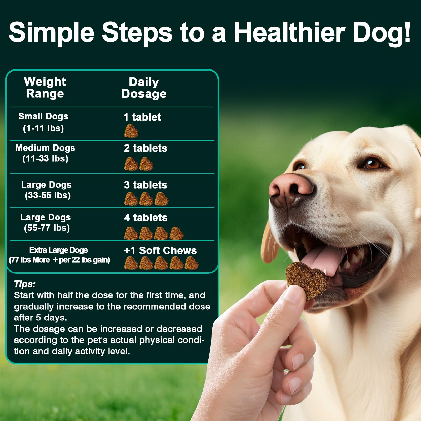 BFDEREN chews serving size scoop close-up to emphasize easy daily dosing.