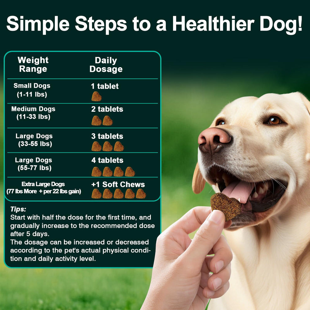 BFDEREN chews serving size scoop close-up to emphasize easy daily dosing.