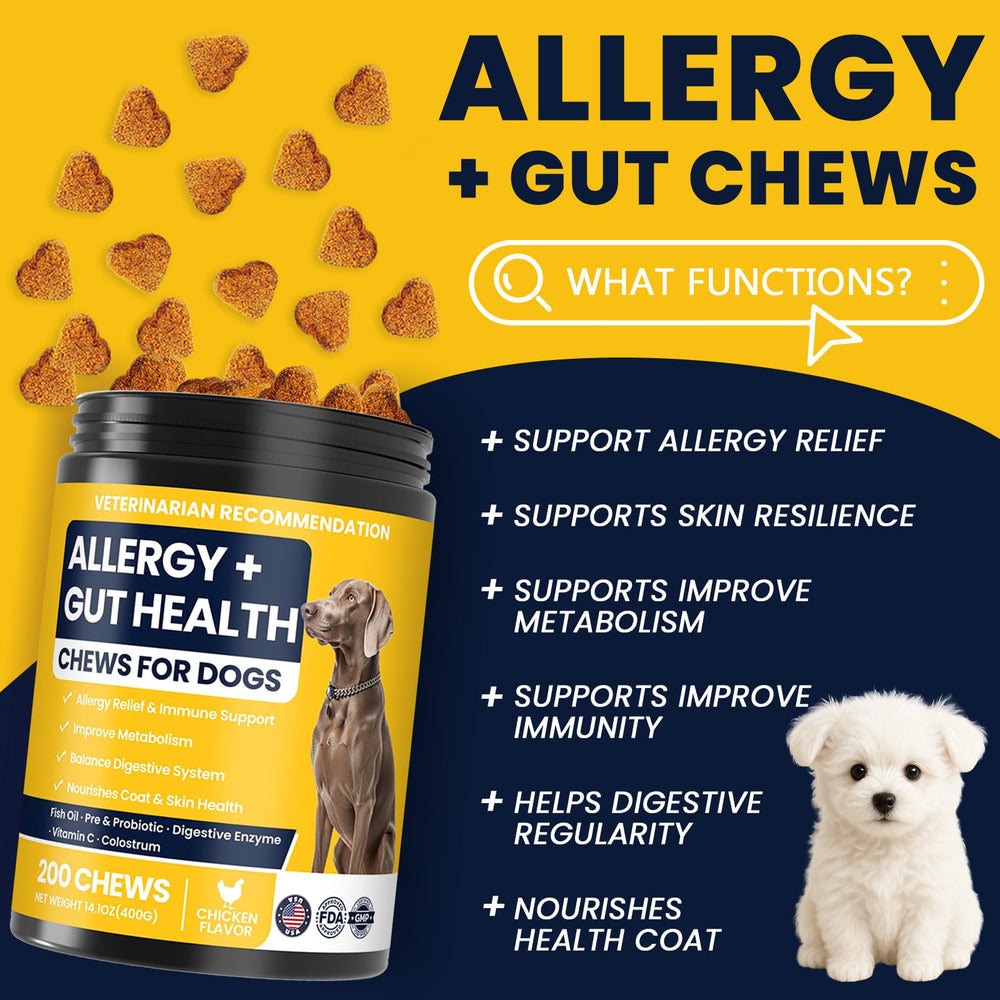 BFDEREN Itch relief dog chews paw view suggests paw licking relief during active days