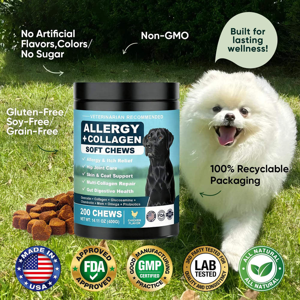 BFDEREN probiotic-prebiotic blend image signals gut health supporting allergy comfort.