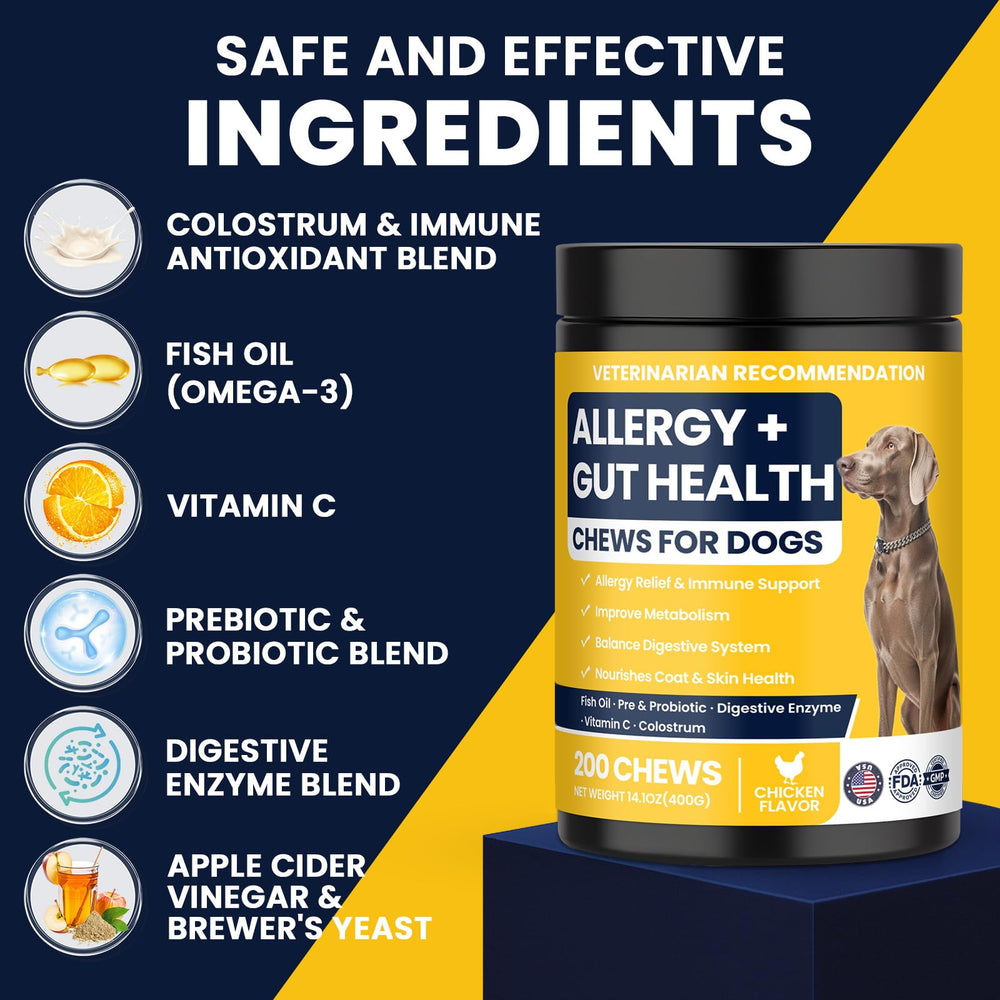 BFDEREN Skin health dog chews pack displays glossy coat potential and skin defense