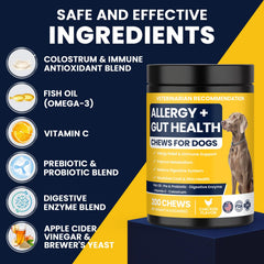 BFDEREN Skin health dog chews pack displays glossy coat potential and skin defense