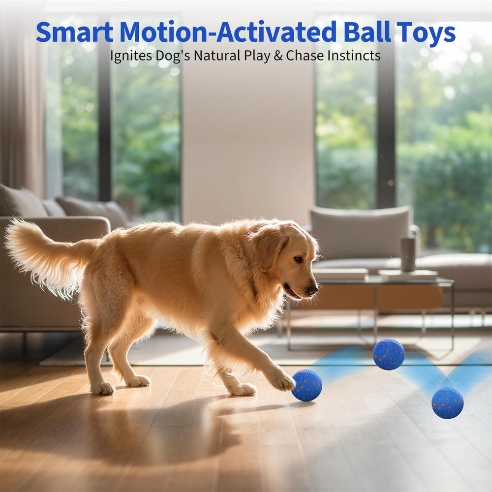 BFFWOW dog ball in Normal Mode for balanced daily activity