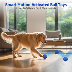 BFFWOW dog ball in Normal Mode for balanced daily activity