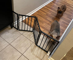BFNN free-standing foldable dog gate front view highlights quick room setup and containment.