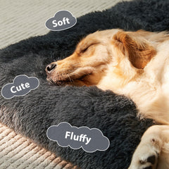 BFPETHOME dog bed with anti-slip bottom keeps it in place during use