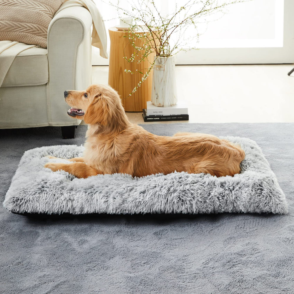 BFPETHOME dog bed with durable padding cushions joints during rest.
