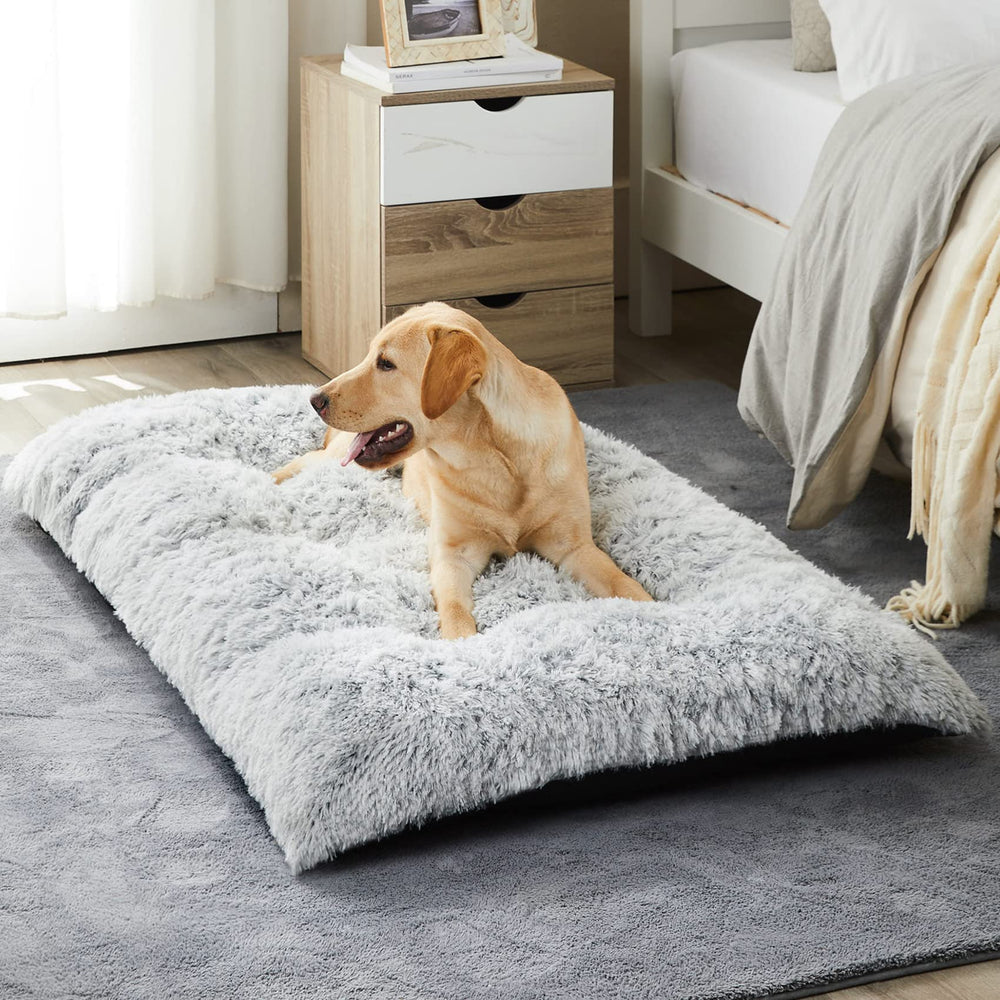 BFPETHOME large dog bed plush surface for cozy lounging and warmth