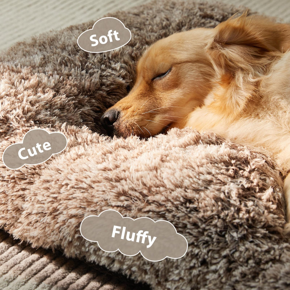 BFPETHOME dog bed padded support cushions joints during nap.