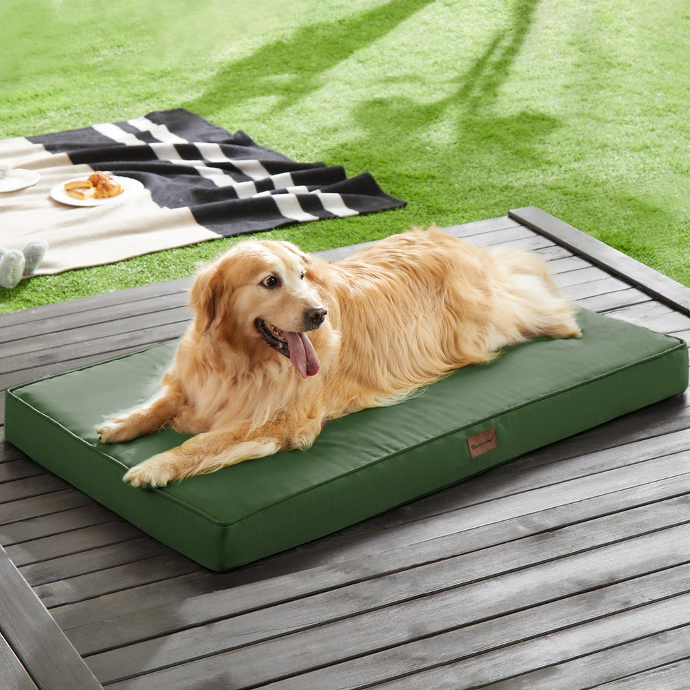 BFPETHOME large dog bed shows ample space for big dogs lounging comfortably.