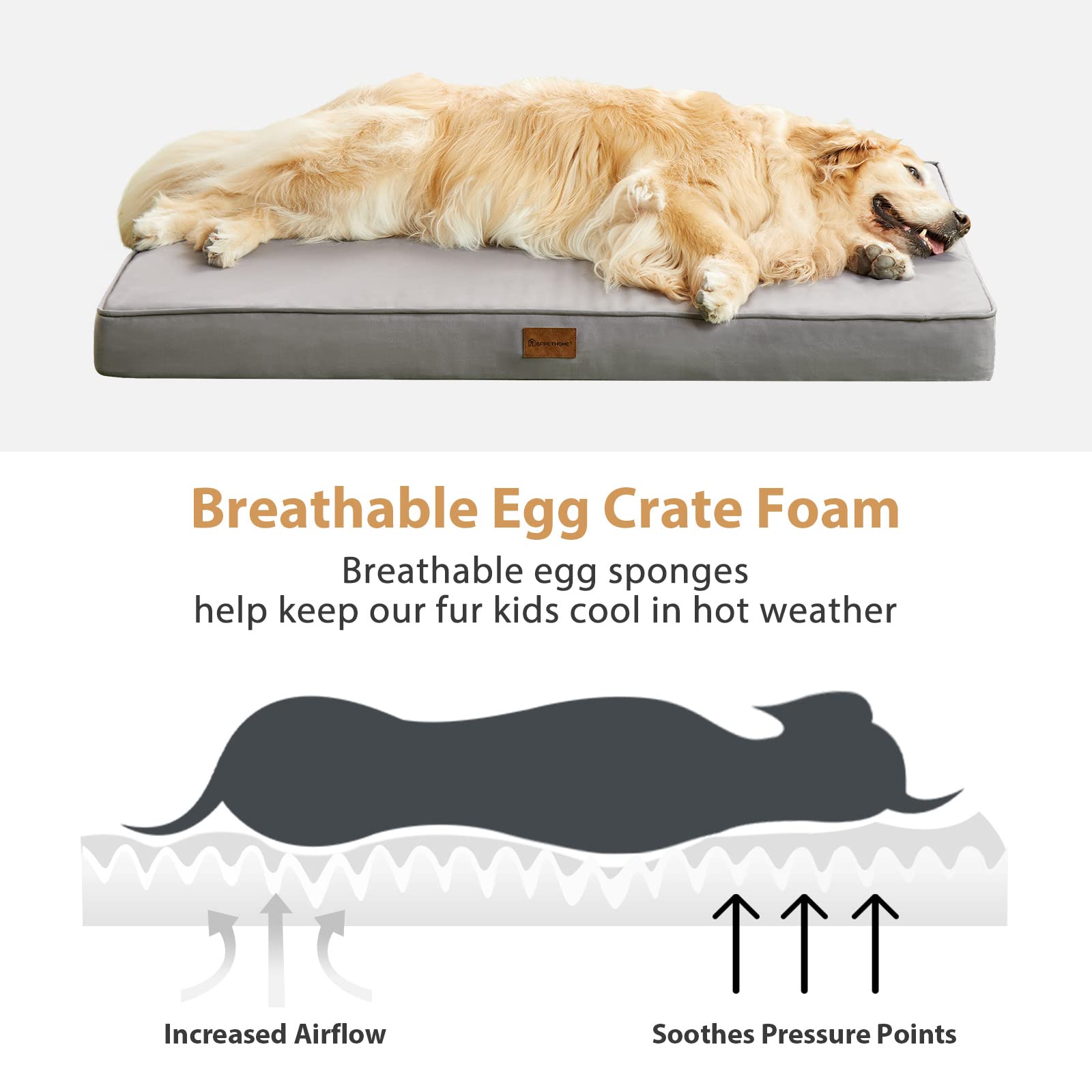 BFPETHOME outdoor dog bed porch use demonstrates versatility in outdoor seating.