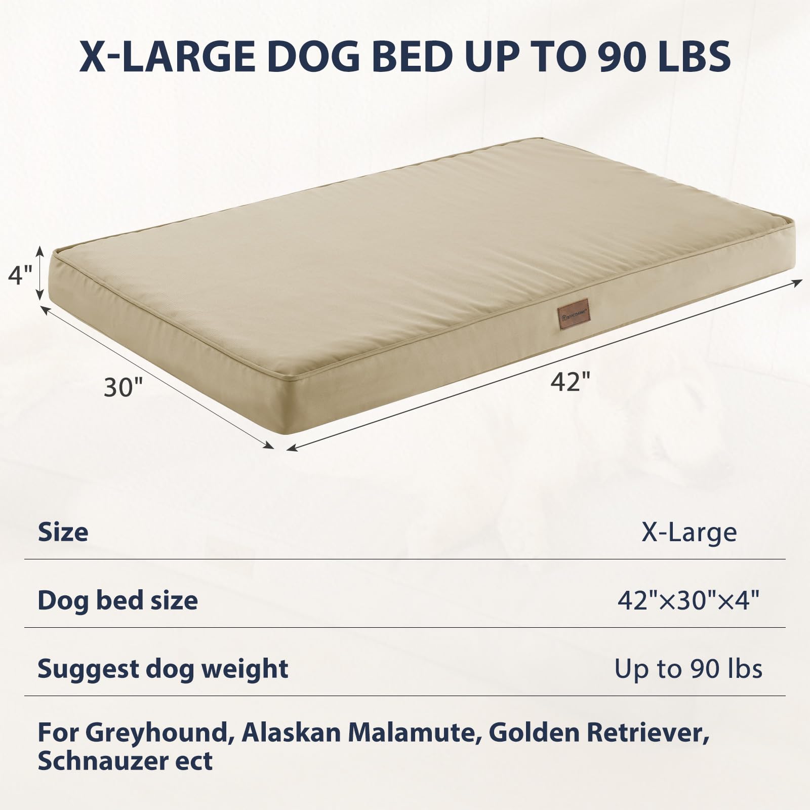 BFPETHOME spacious bed with a lounging dog on the surface