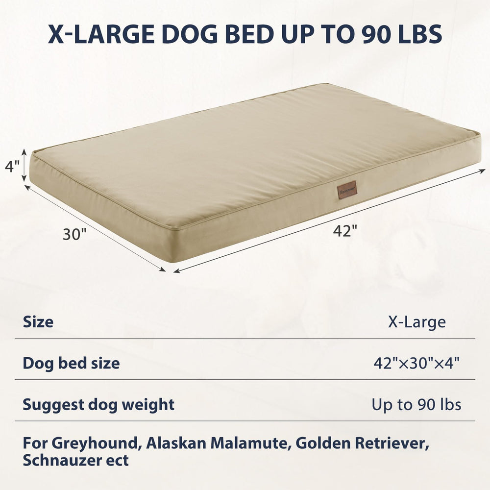 BFPETHOME spacious bed with a lounging dog on the surface