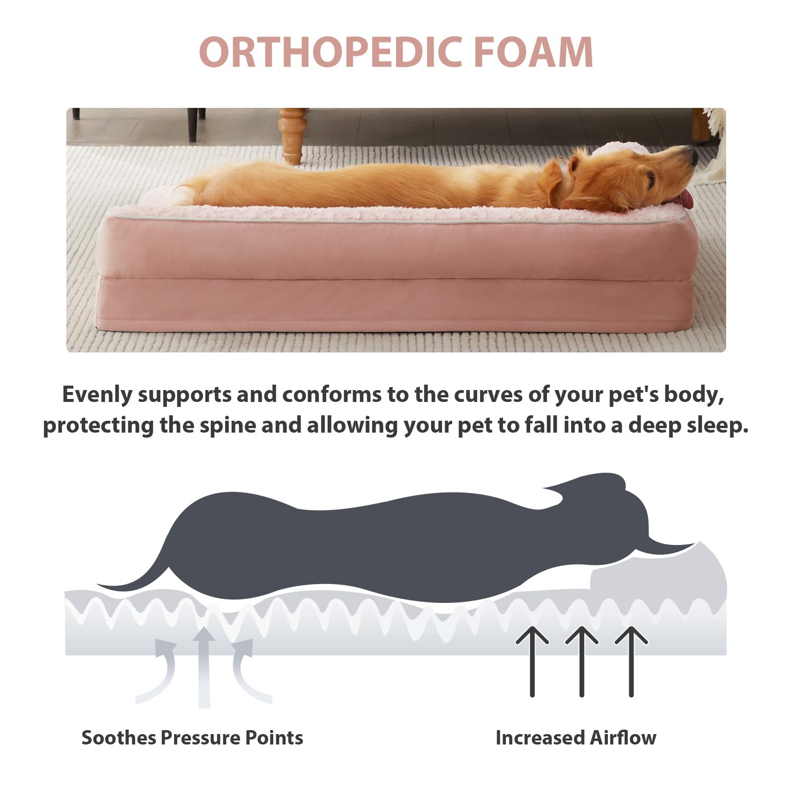 BFPETHOME soft surface and waterproof lining protects the foam