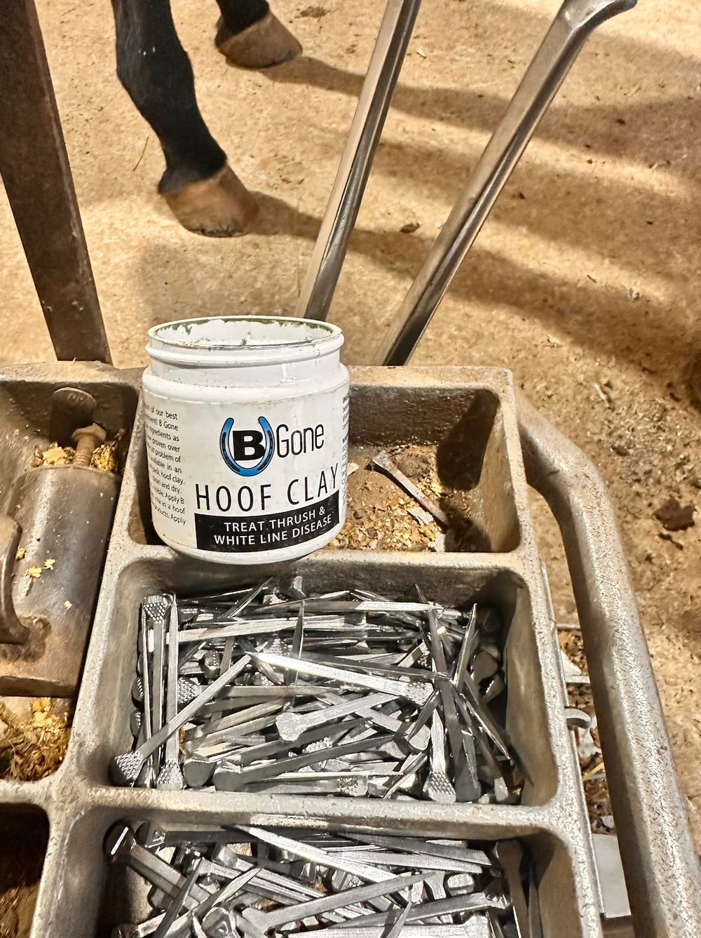 B Gone Hoof Clay applied on hoof—trusted by farriers for daily hoof maintenance.