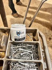 B Gone Hoof Clay applied on hoof—trusted by farriers for daily hoof maintenance.