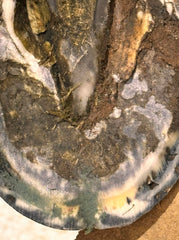 B Gone Hoof Clay on hoof—durable in wet climates for hoof protection.