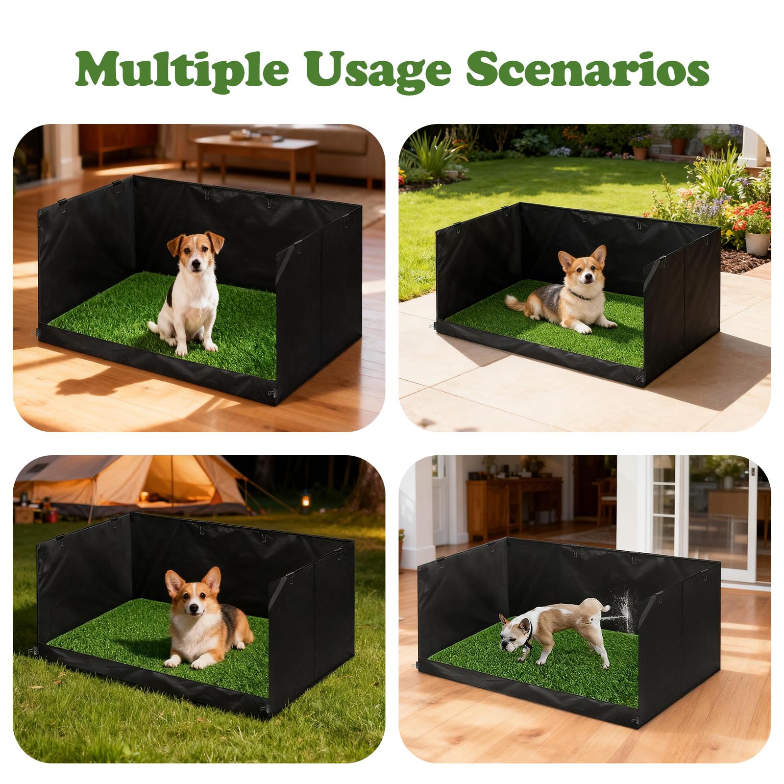 Bhyhok indoor potty in living room setup for busy homes with pets