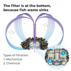 biOrb water optimizer helps stabilize water while reducing maintenance.