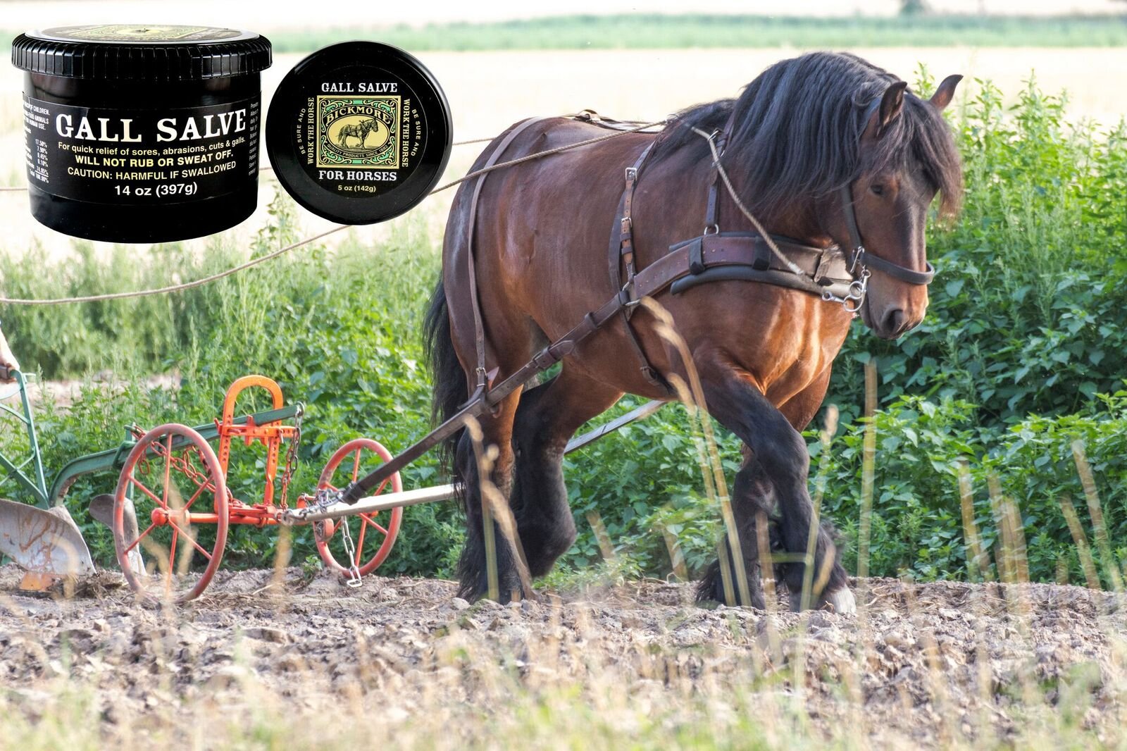 Bickmore Gall Salve wound areas quick-drying, residue-free coating.