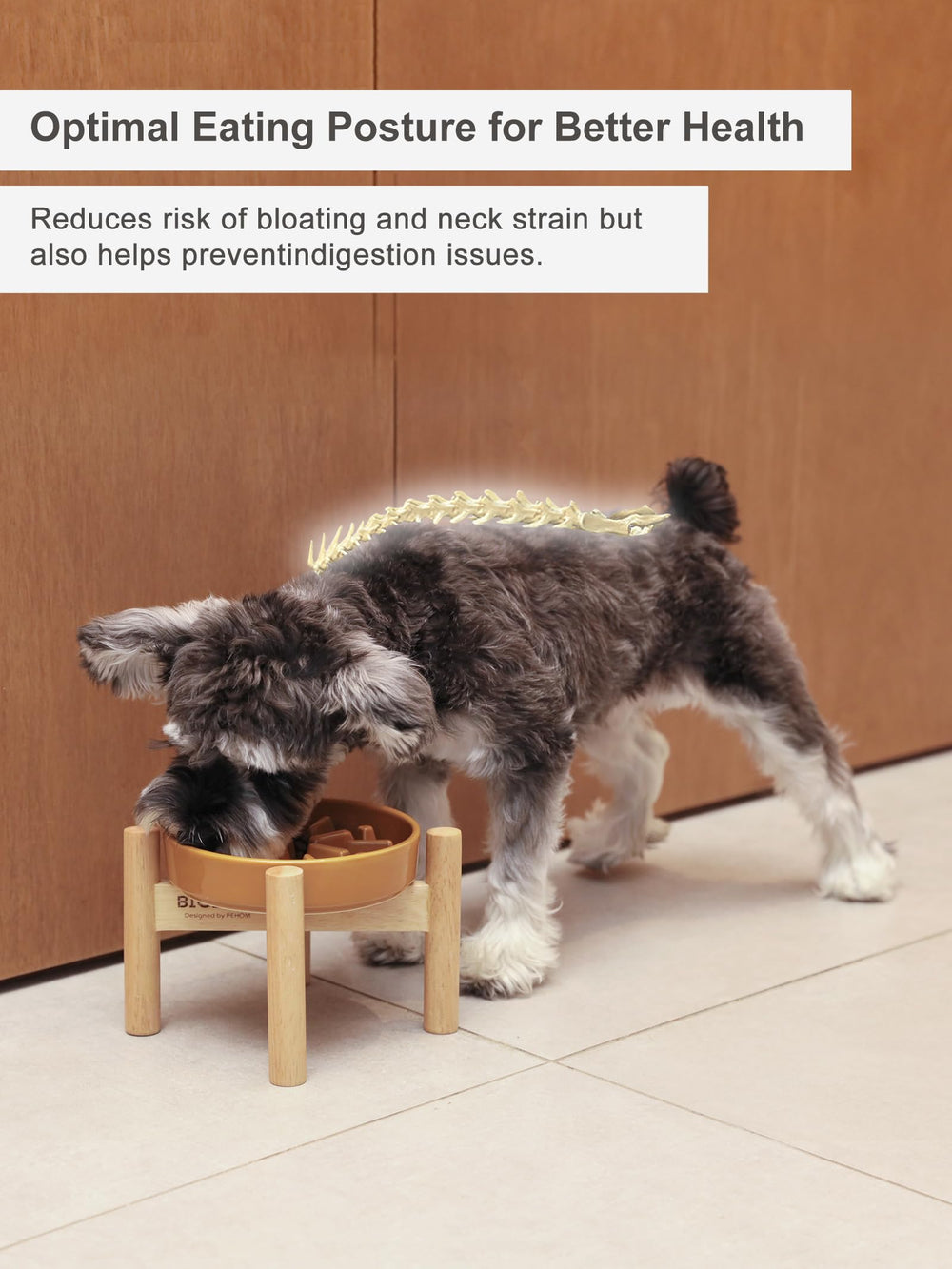 BICOPET raised mealtime design adds enrichment to dogs.