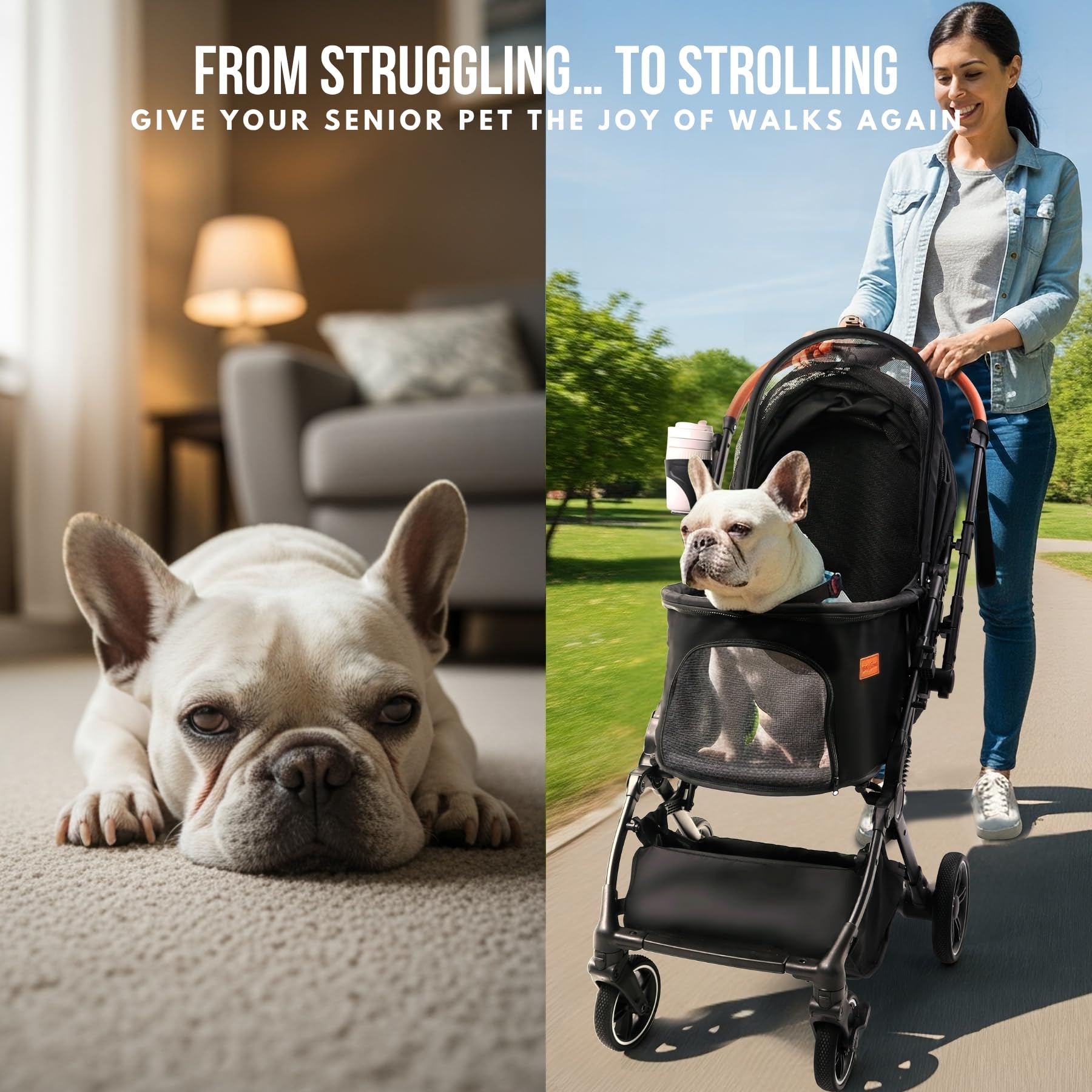 Bicystar Pet Stroller in-city park use shows family-friendly outdoor moments.