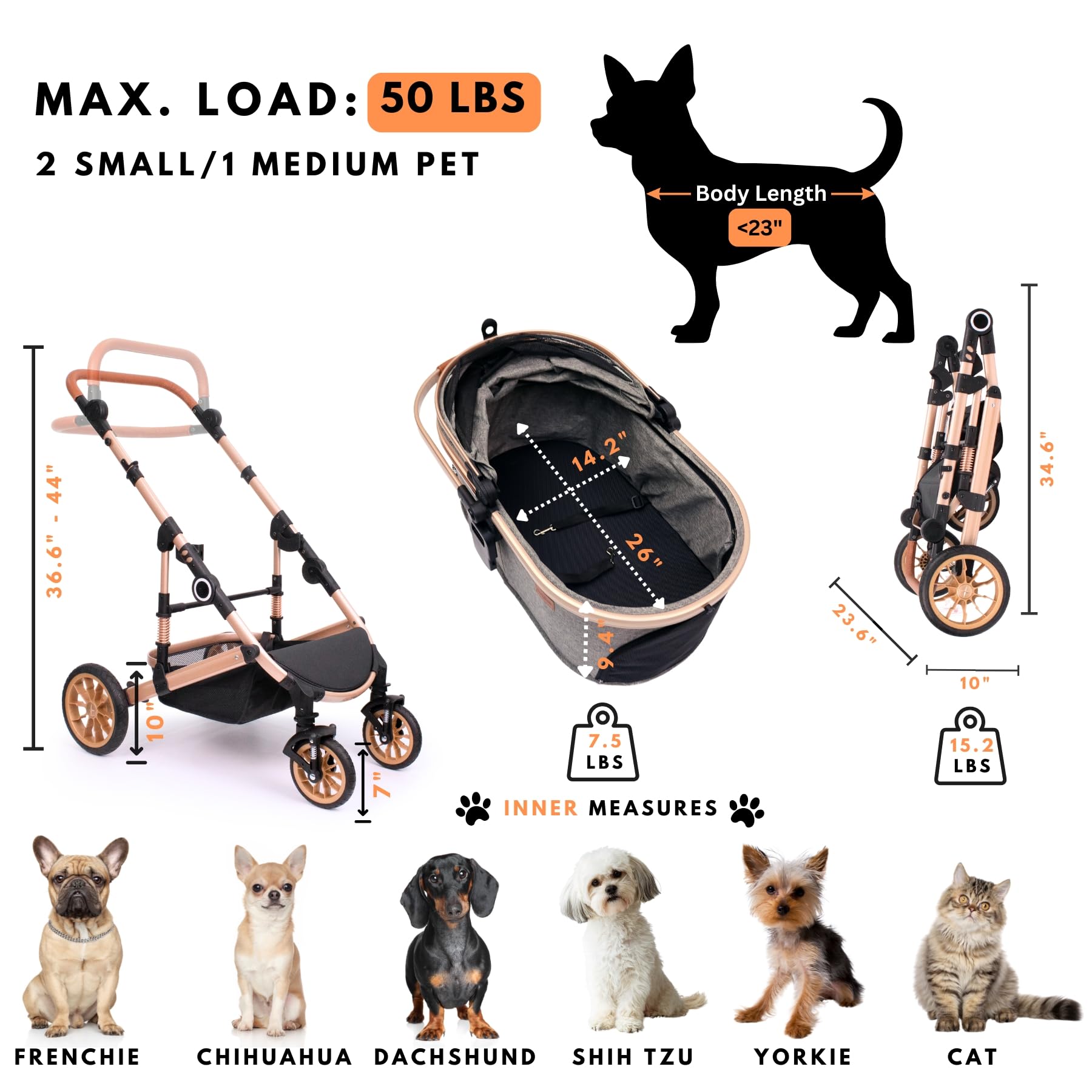 Bicystar interior dimensions highlight comfortable fit for pets.