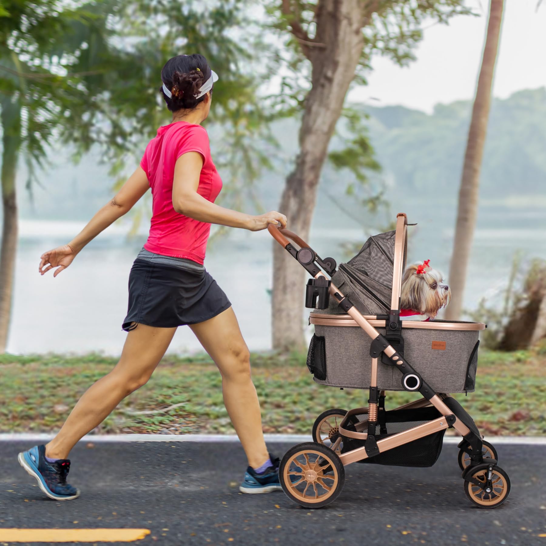 Bicystar two-pets layout demonstrates versatile use for small dogs.