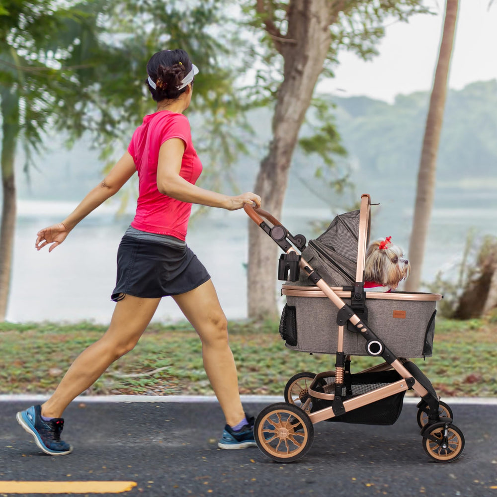 Bicystar two-pets layout demonstrates versatile use for small dogs.