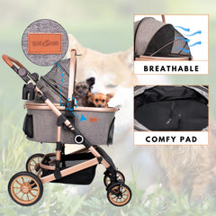 Bicystar wide-frame stability supports confident sidewalk strolling.