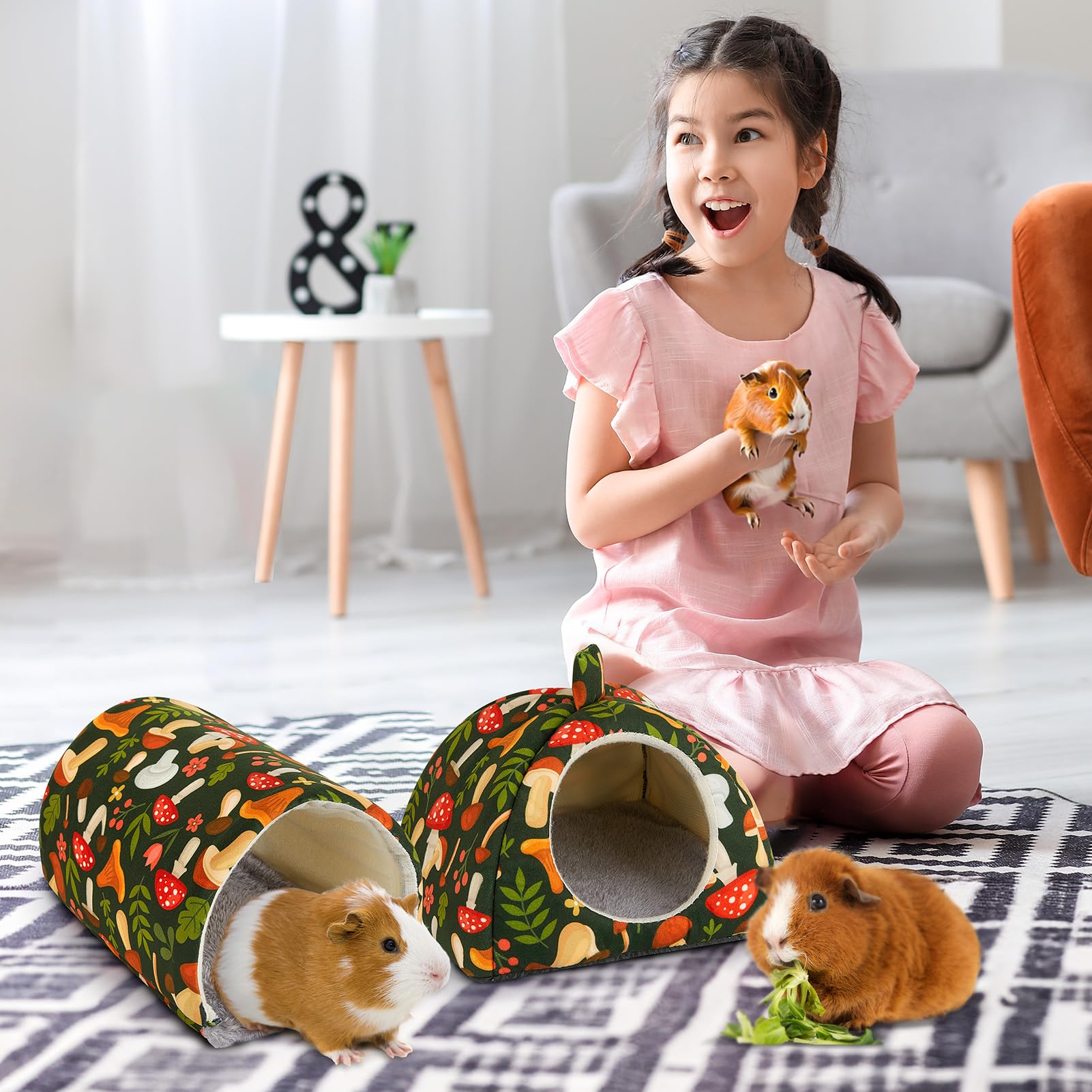 Bienbee guinea pig set showing cage-accessory play enrichment