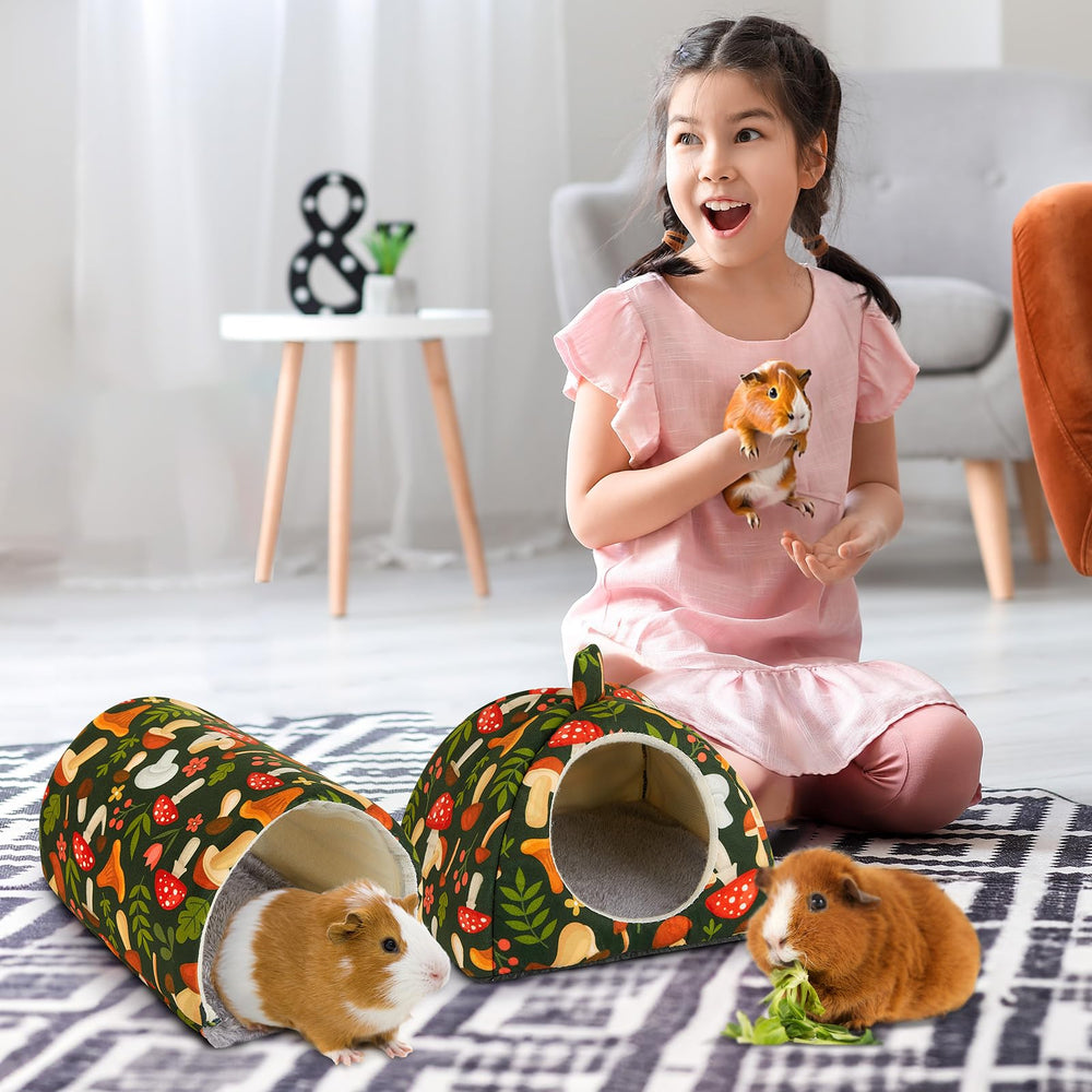 Bienbee guinea pig set showing cage-accessory play enrichment