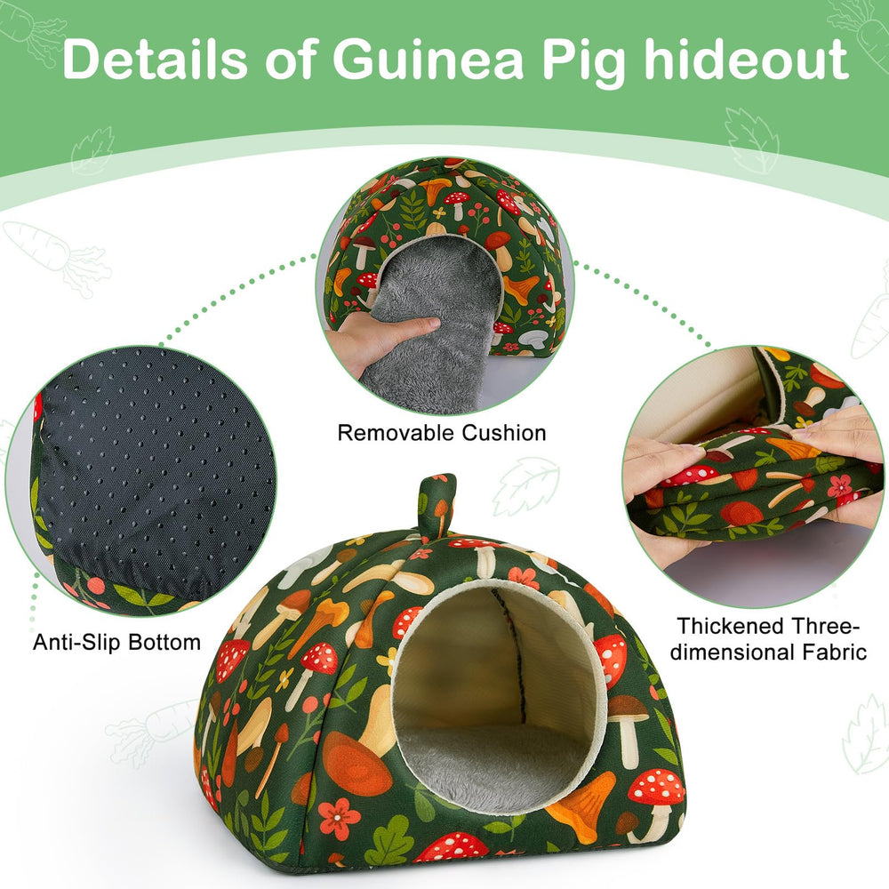 Bienbee guinea pig set with non-slip bottom stabilizing in cage