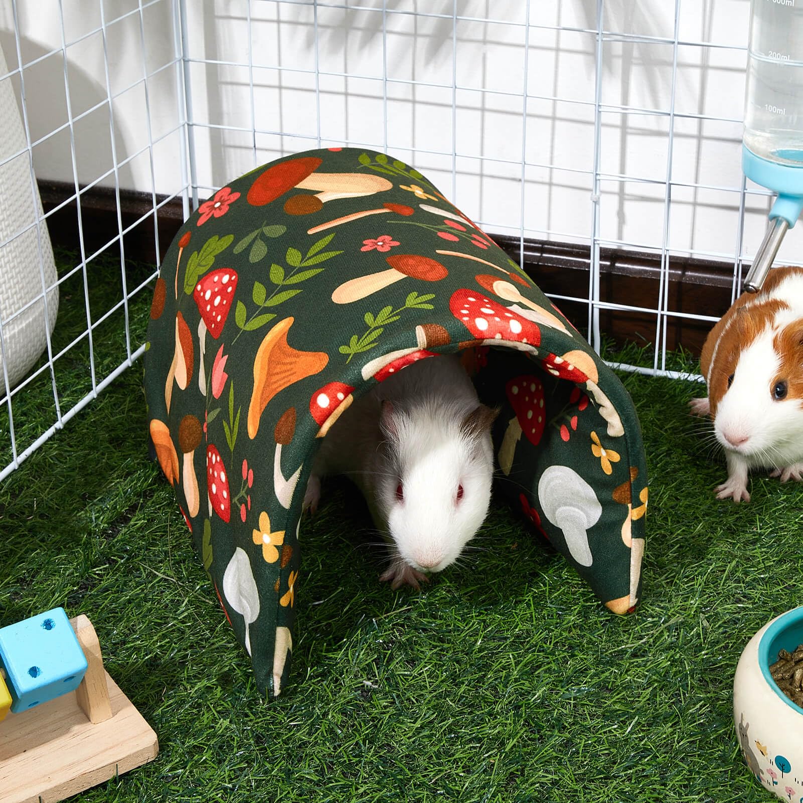 Bienbee Guinea Pig Tunnel open for curiosity and exploration