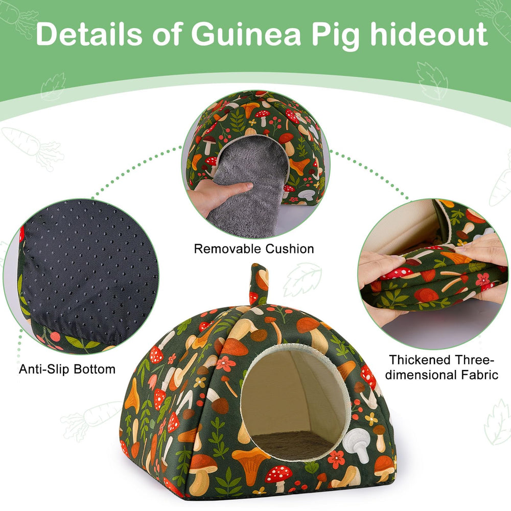 Bienbee small animals housing in green mushroom supports versatile habitats.