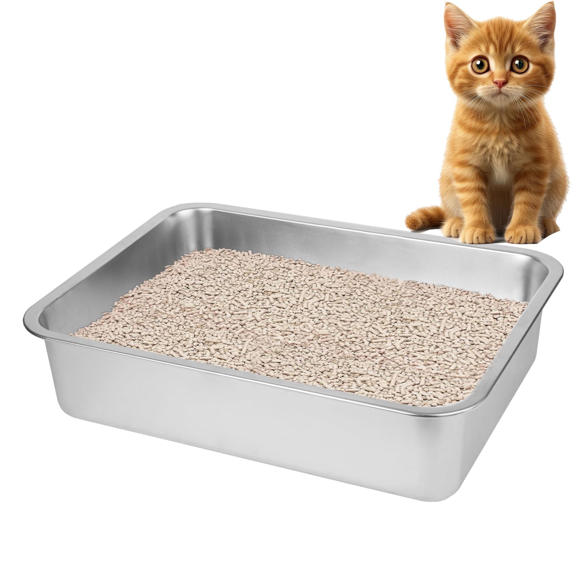 BierBear stainless steel cat litter box exterior view shows durable, odor-resistant construction.