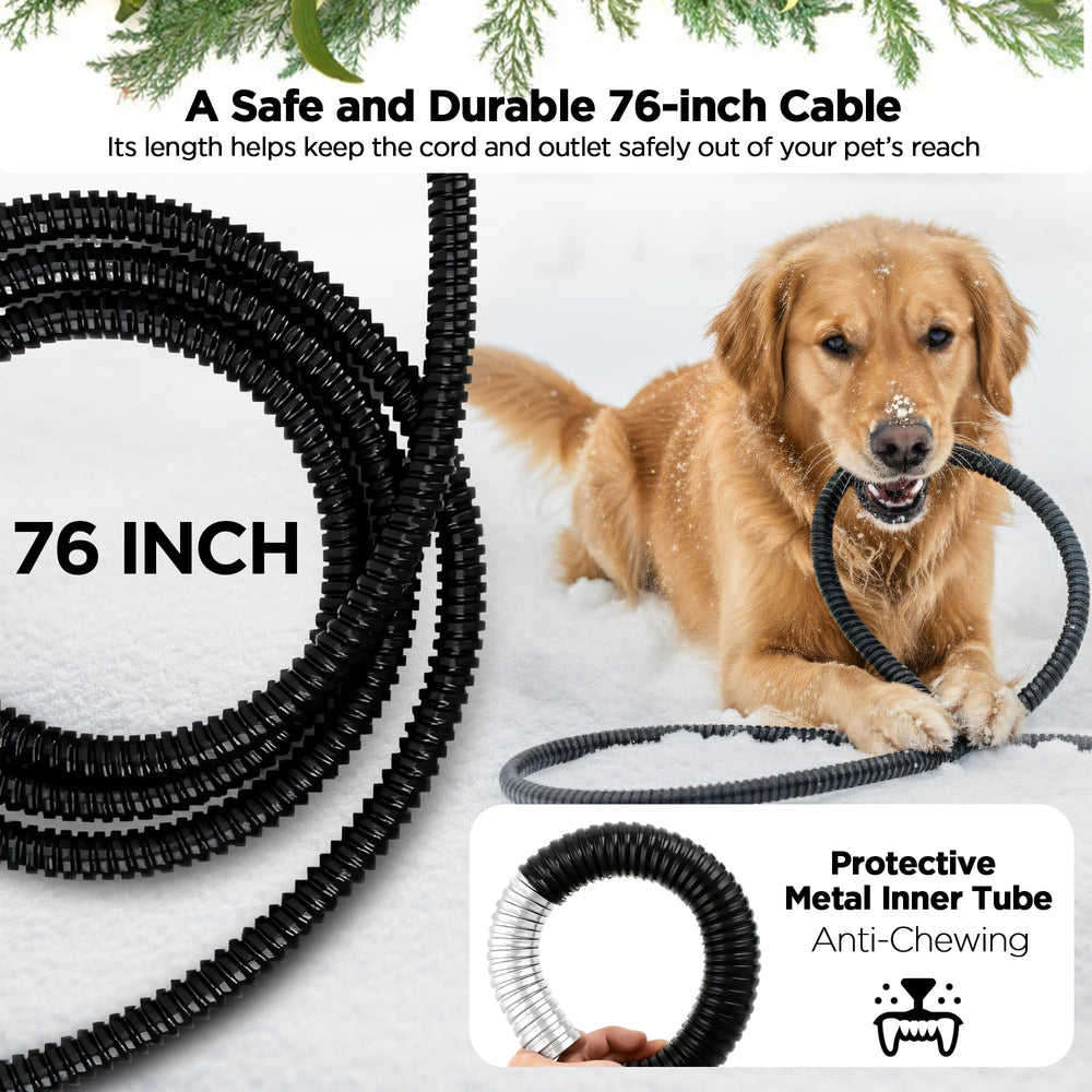 BietrunPro BPA-free plastic close-up confirms safe, durable hydration dish