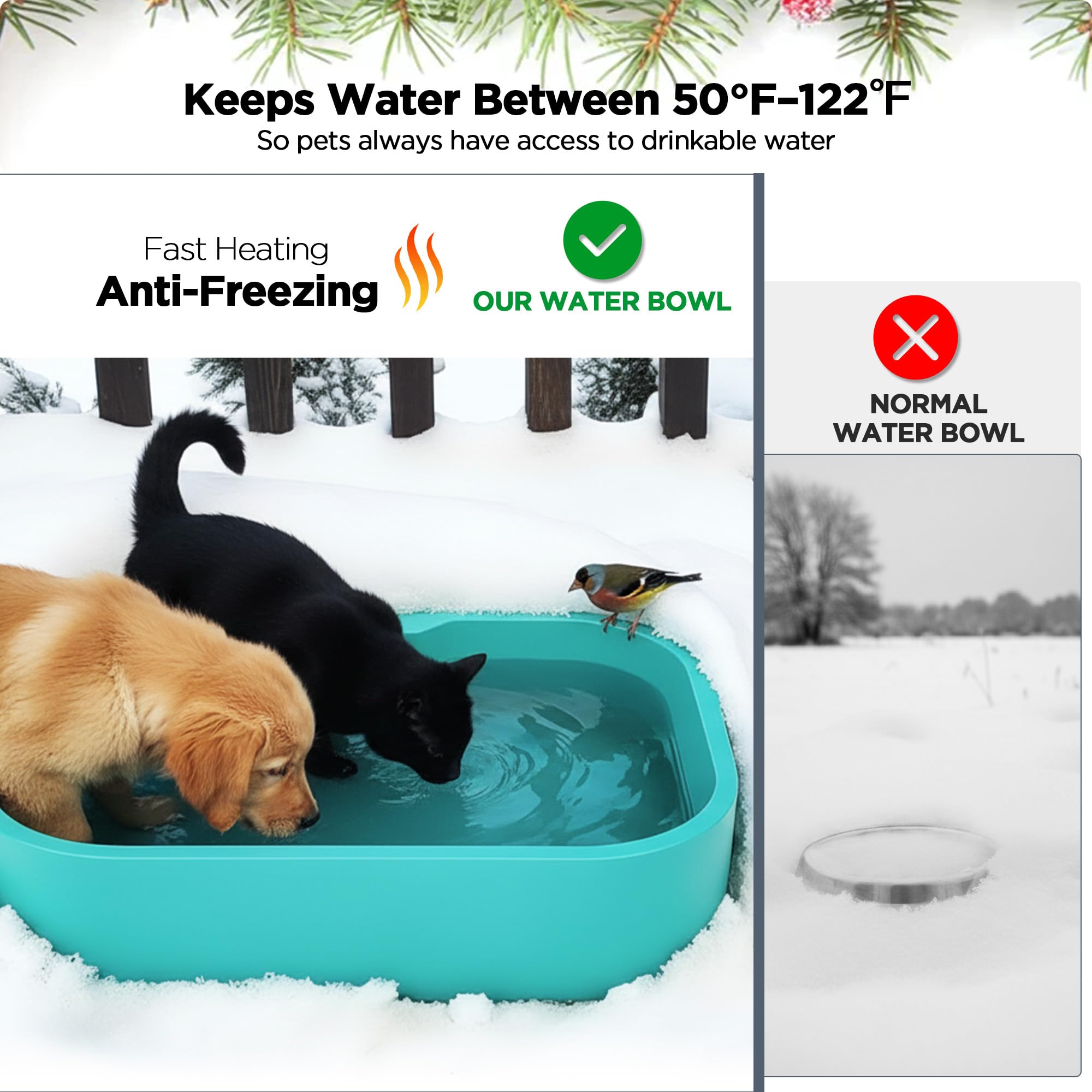 BietrunPro BPA-free plastic close-up emphasizing safe material