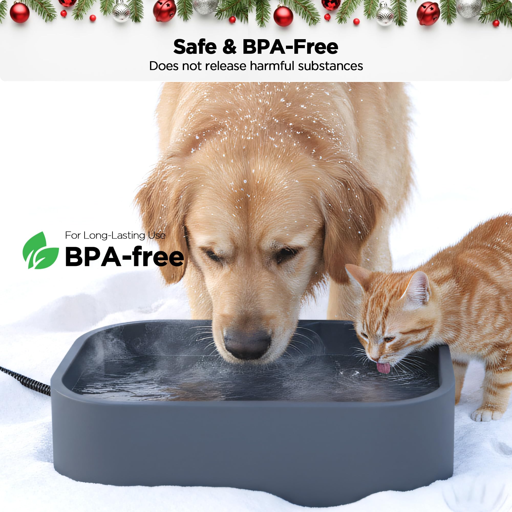 BietrunPro indoor-outdoor setup image shows versatile winter use