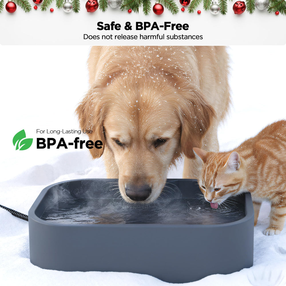 BietrunPro indoor-outdoor setup image shows versatile winter use