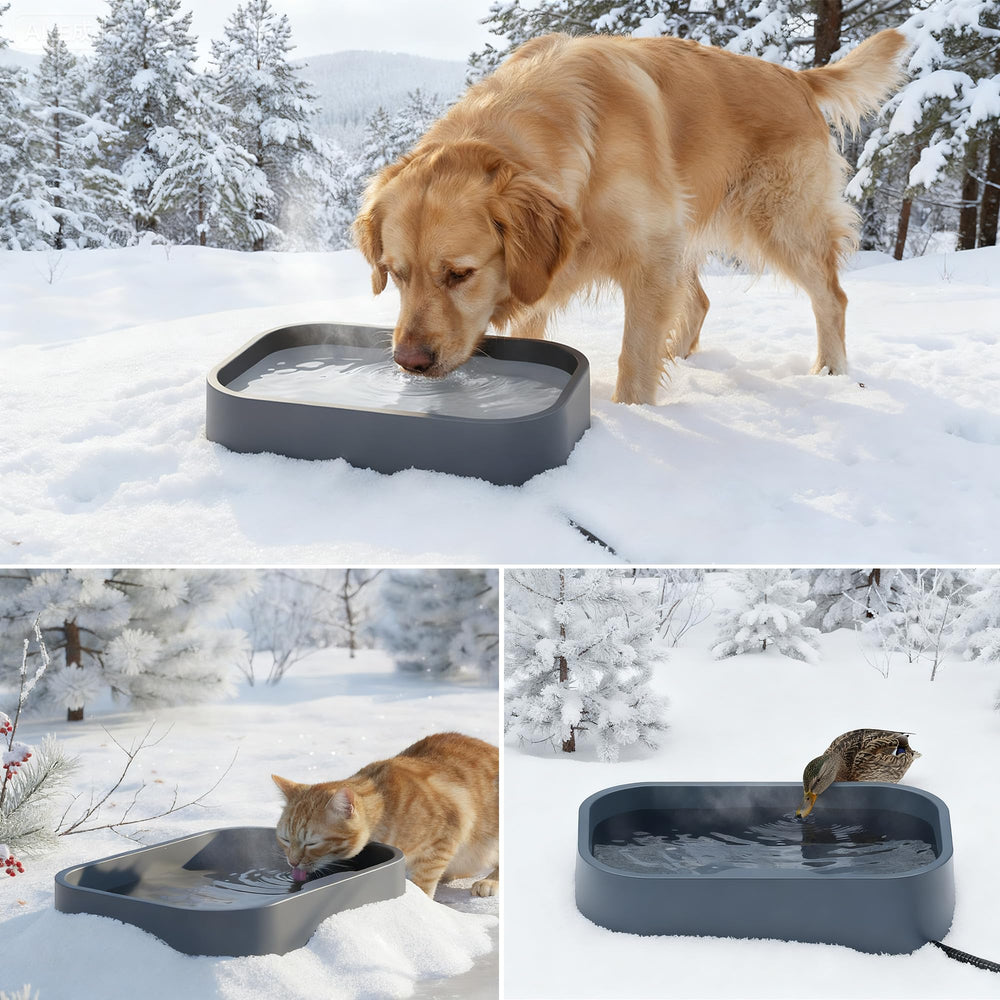 BietrunPro large-capacity bowl with multiple pets in yard scene