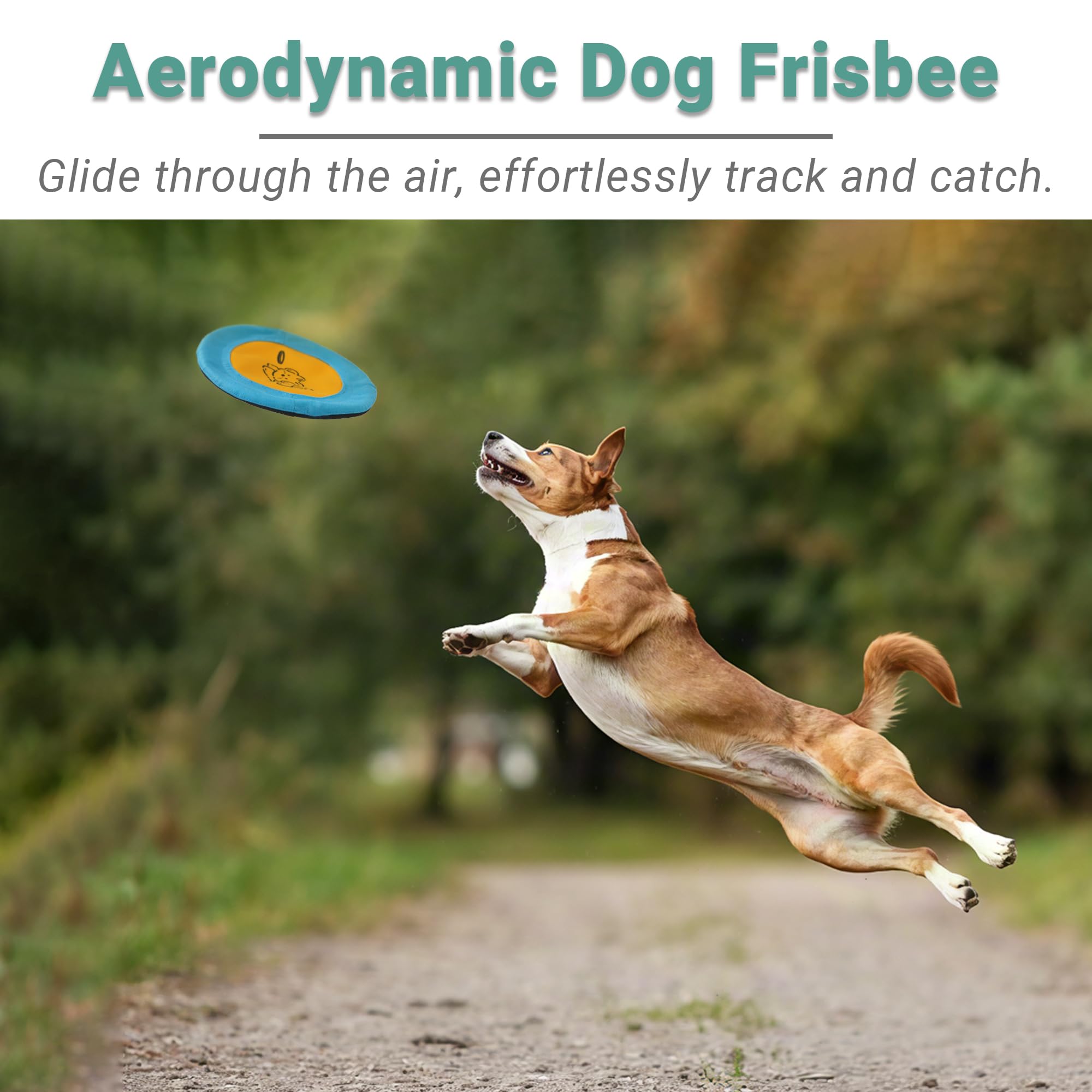 Bifeaw nylon flying disc 7inch compact for quick backyard tosses.