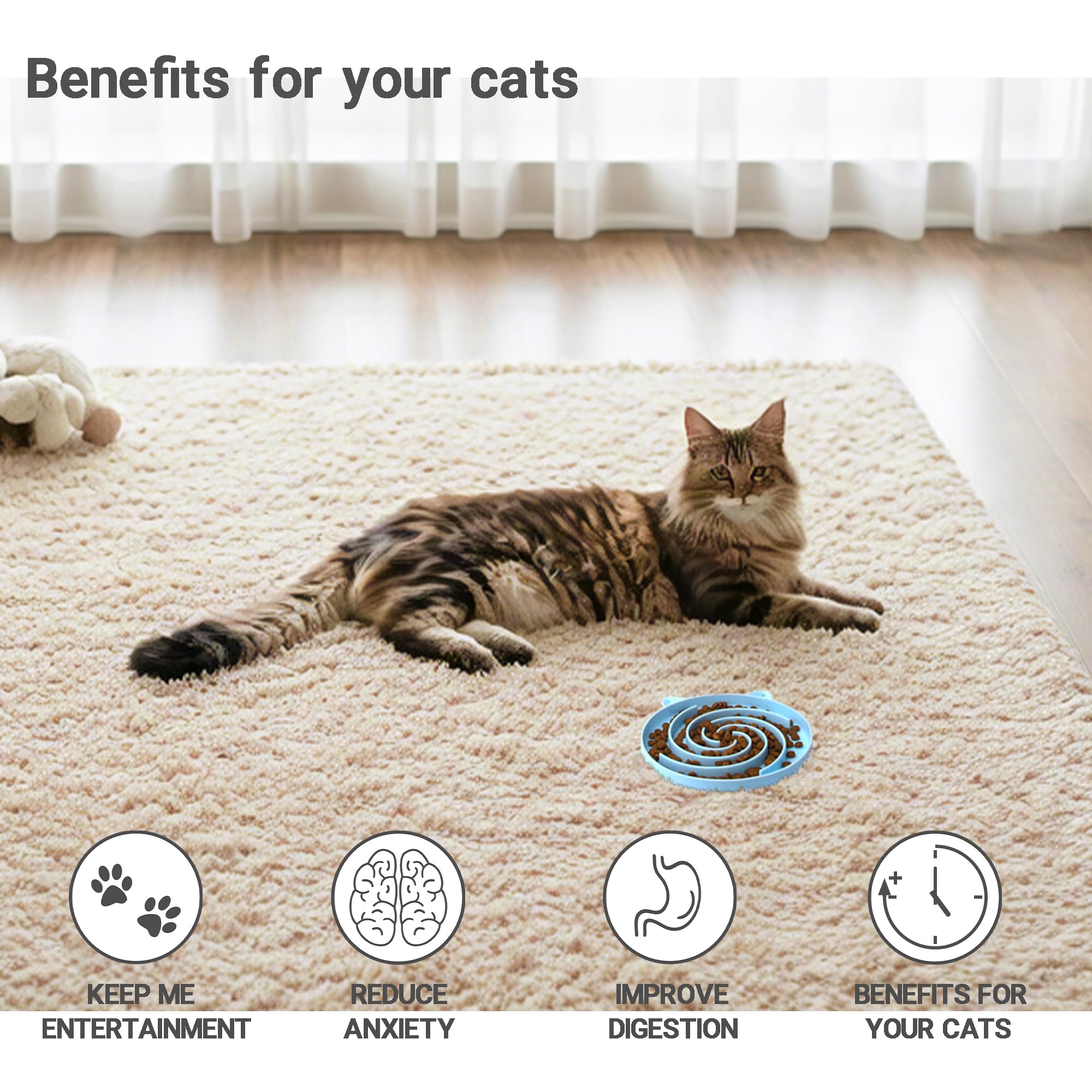 Bifeaw bowl supports dry, wet, and fresh foods for cats.