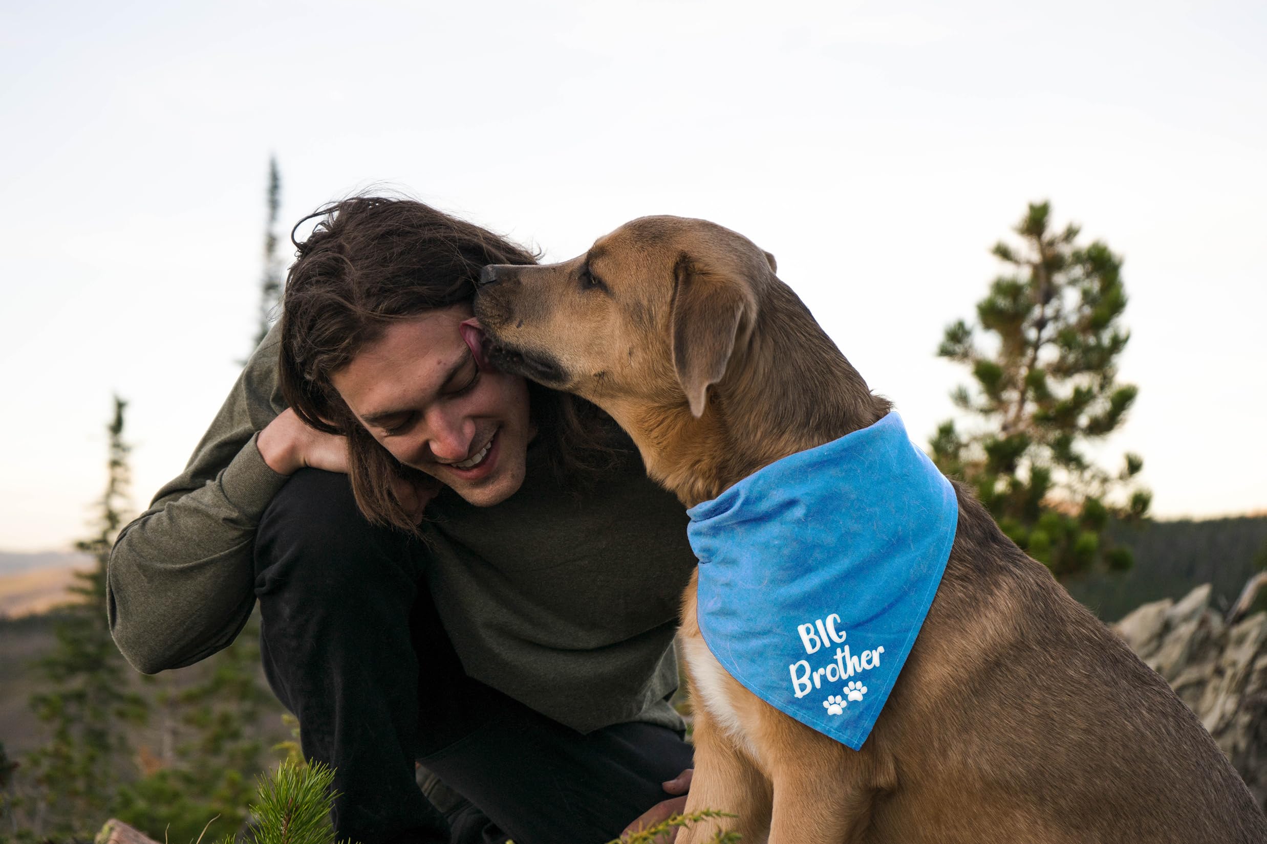 Big Brother Birthday Bandana for Dogs party-ready look, great for festive photos.