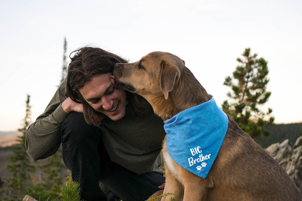 Big Brother Birthday Bandana for Dogs party-ready look, great for festive photos.