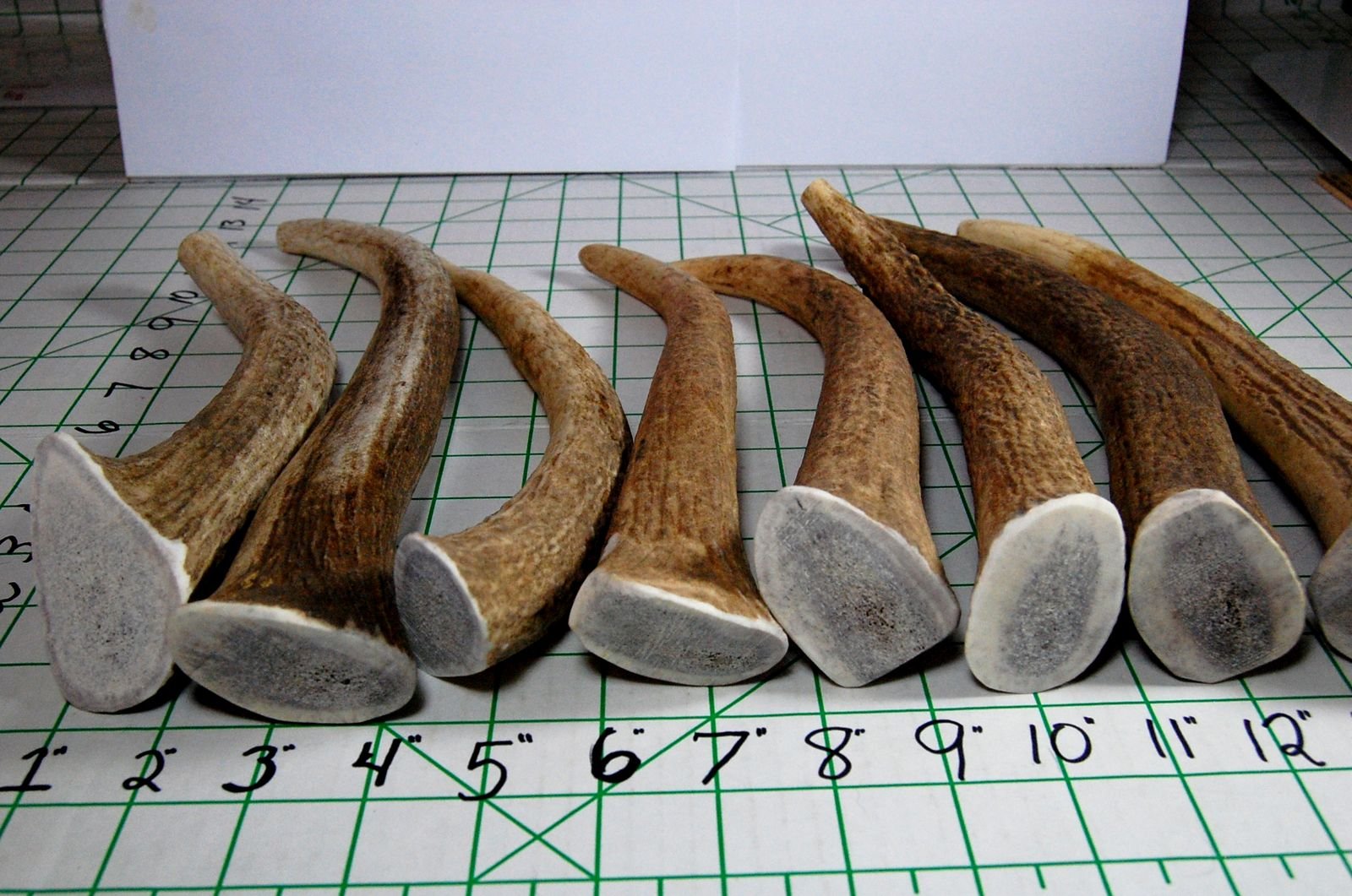 Big Dog Antler Chews free-range-elk-sourcing emphasizes natural origin