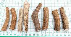 Big Dog Antler Chews indoor-use elk chews leave no greasy mess