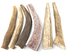 Big Dog Antler Chews designed for indoor use keeps floors clean and odor-free.