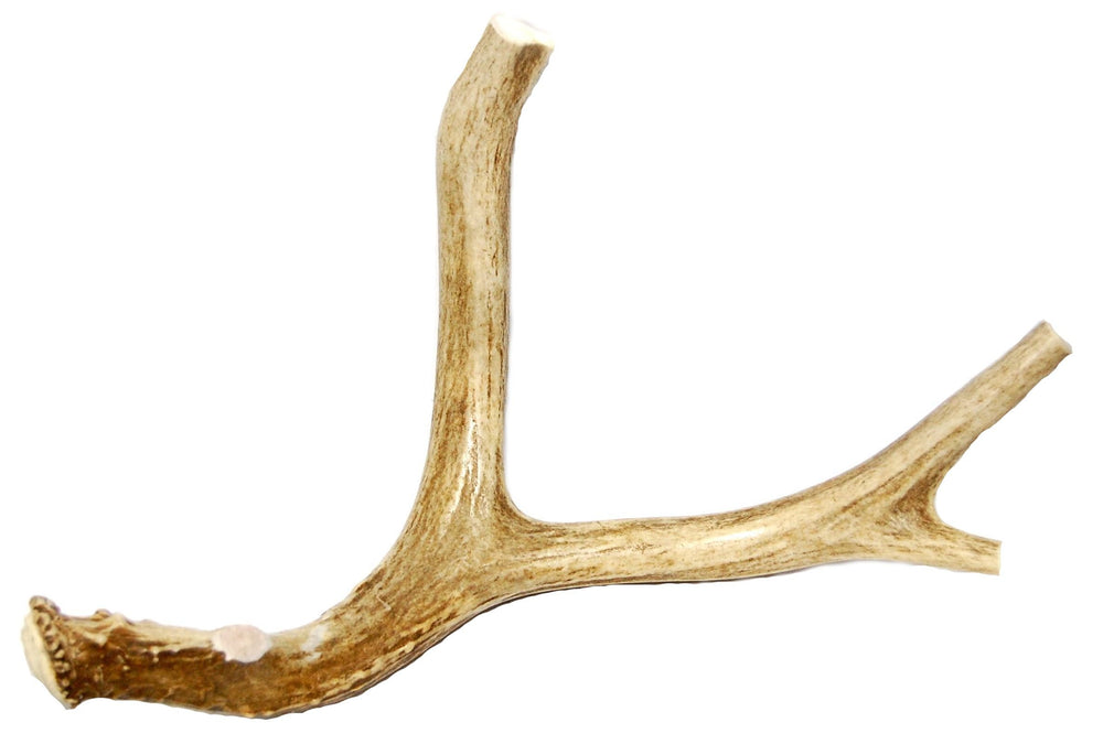Big Dog Antler Chews large dog puppy chew, durable chew for aggressive chewers