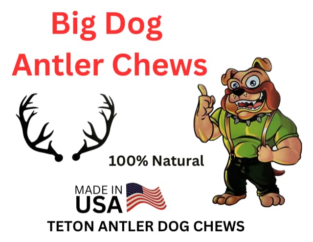 Big Dog Antler Chews long-lasting elk chew shown beside dog by couch